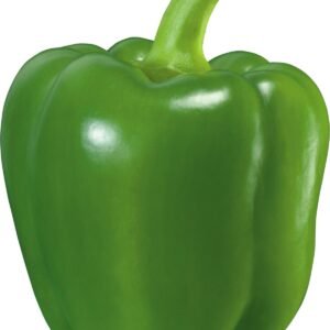 Morrón verde