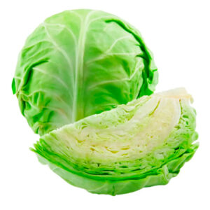 Repollo